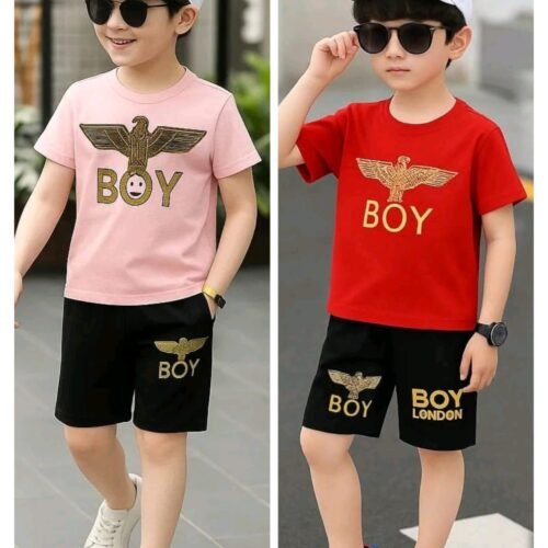 t-shirt and pant   2 set combo